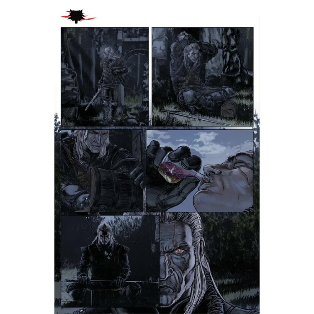 Zaklínač 2: Zájmy státu (2. část) - komiks