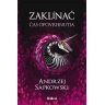The Witcher IV - Time of Contempt (Slovak edition)