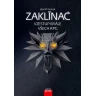 Zaklínač: Vzestup krále všech RPG