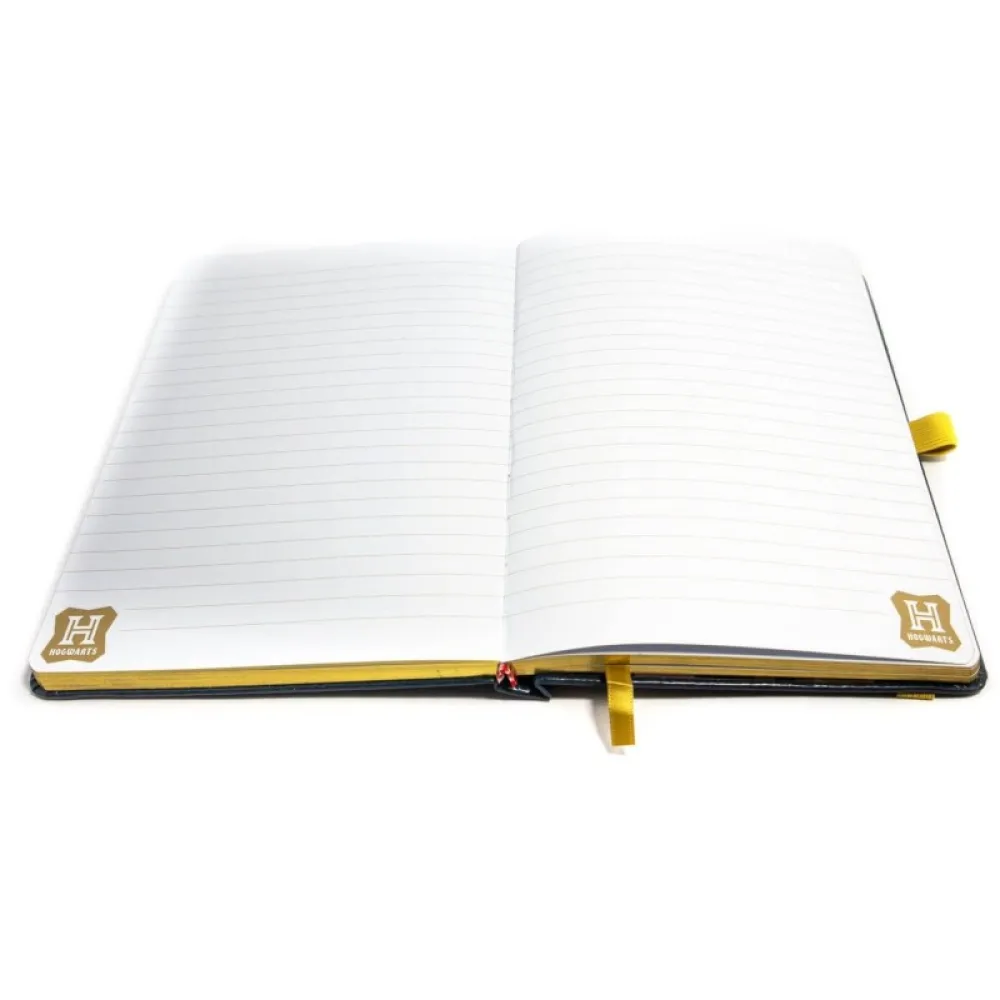 Notizbuch Harry Potter - Abstract Magic
