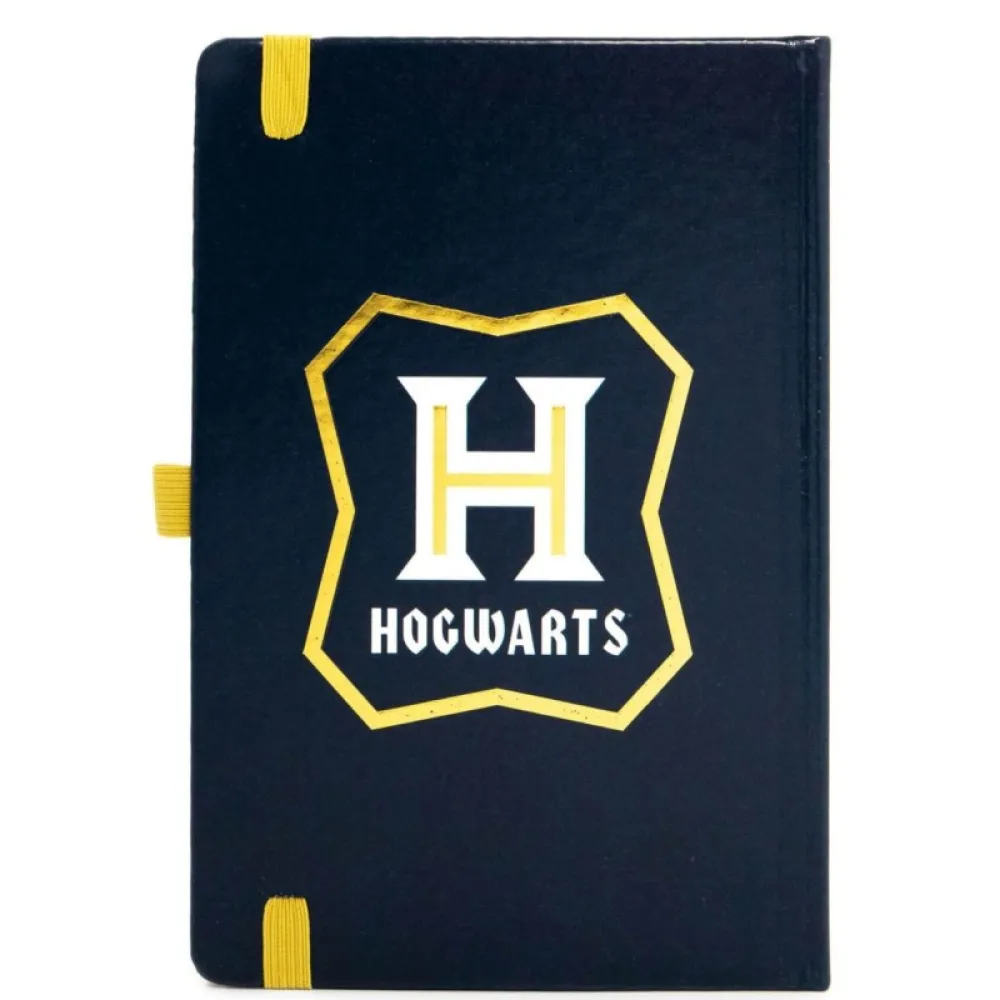 Notizbuch Harry Potter - Abstract Magic