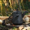 Iron Tea Kettle