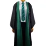 Slytherin Schulumhang