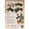 Zombie Dice Horde Edition