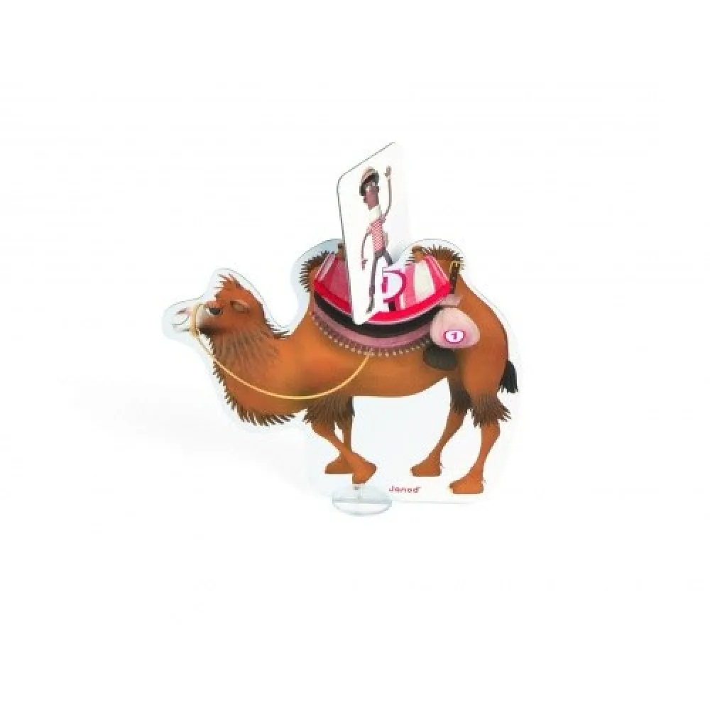 Zoonimooz: Camel
